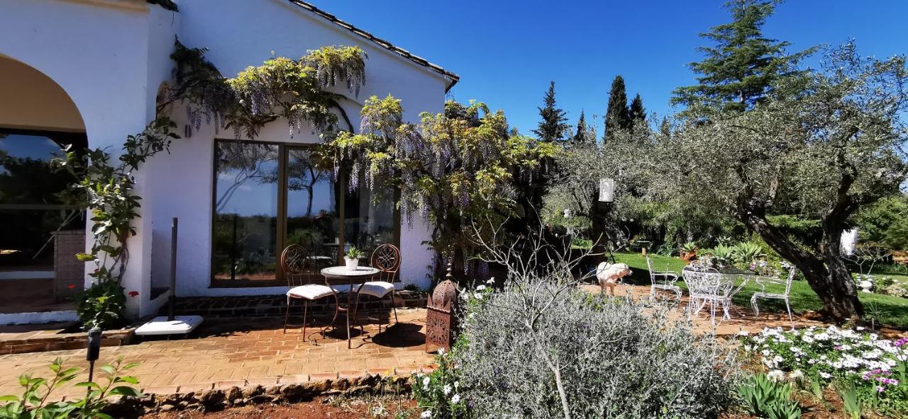 Roca Verde, Boutique Bed & Breakfast (Adults Only) 阿尔豪林德拉托里 外观 照片