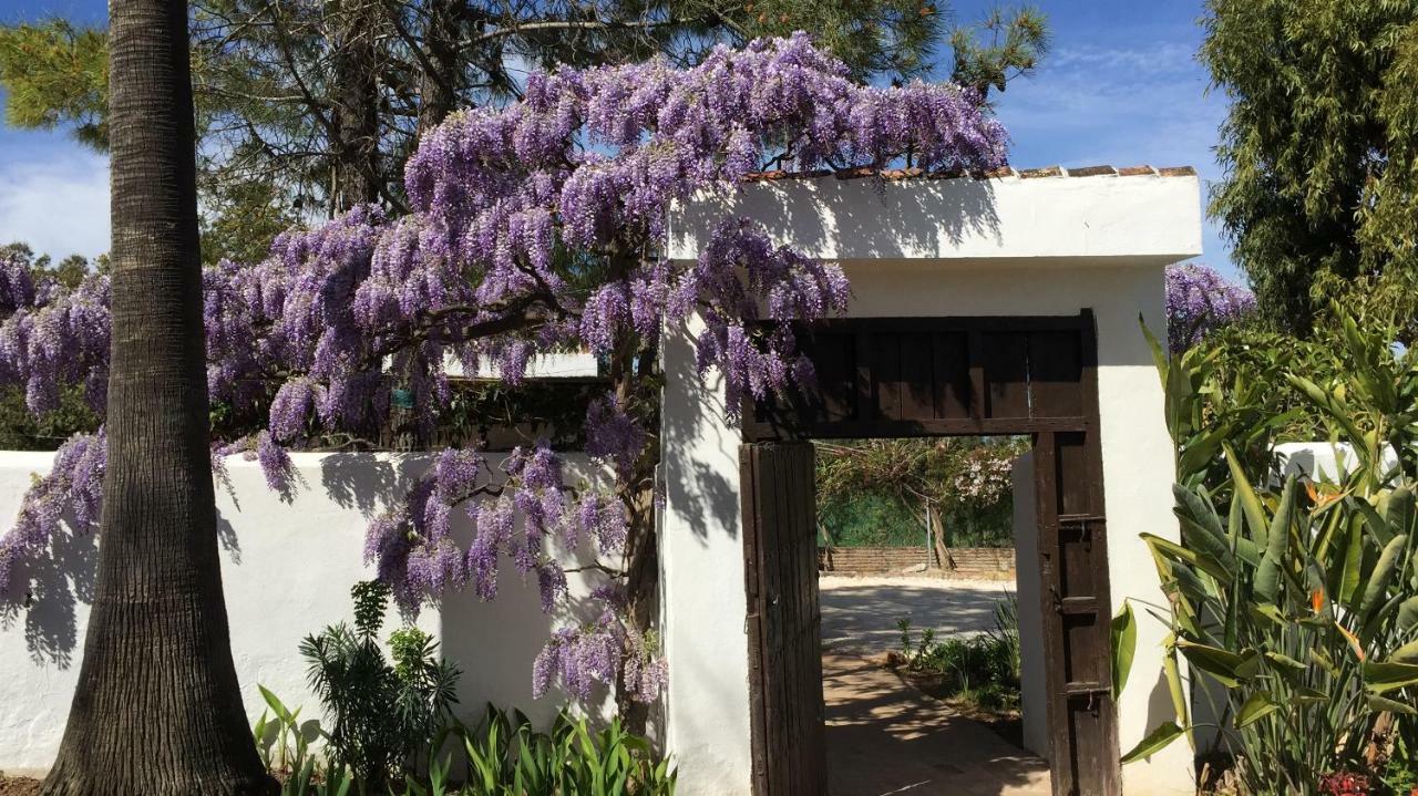 Roca Verde, Boutique Bed & Breakfast (Adults Only) 阿尔豪林德拉托里 外观 照片