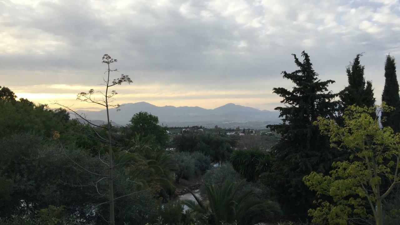 Roca Verde, Boutique Bed & Breakfast (Adults Only) 阿尔豪林德拉托里 外观 照片