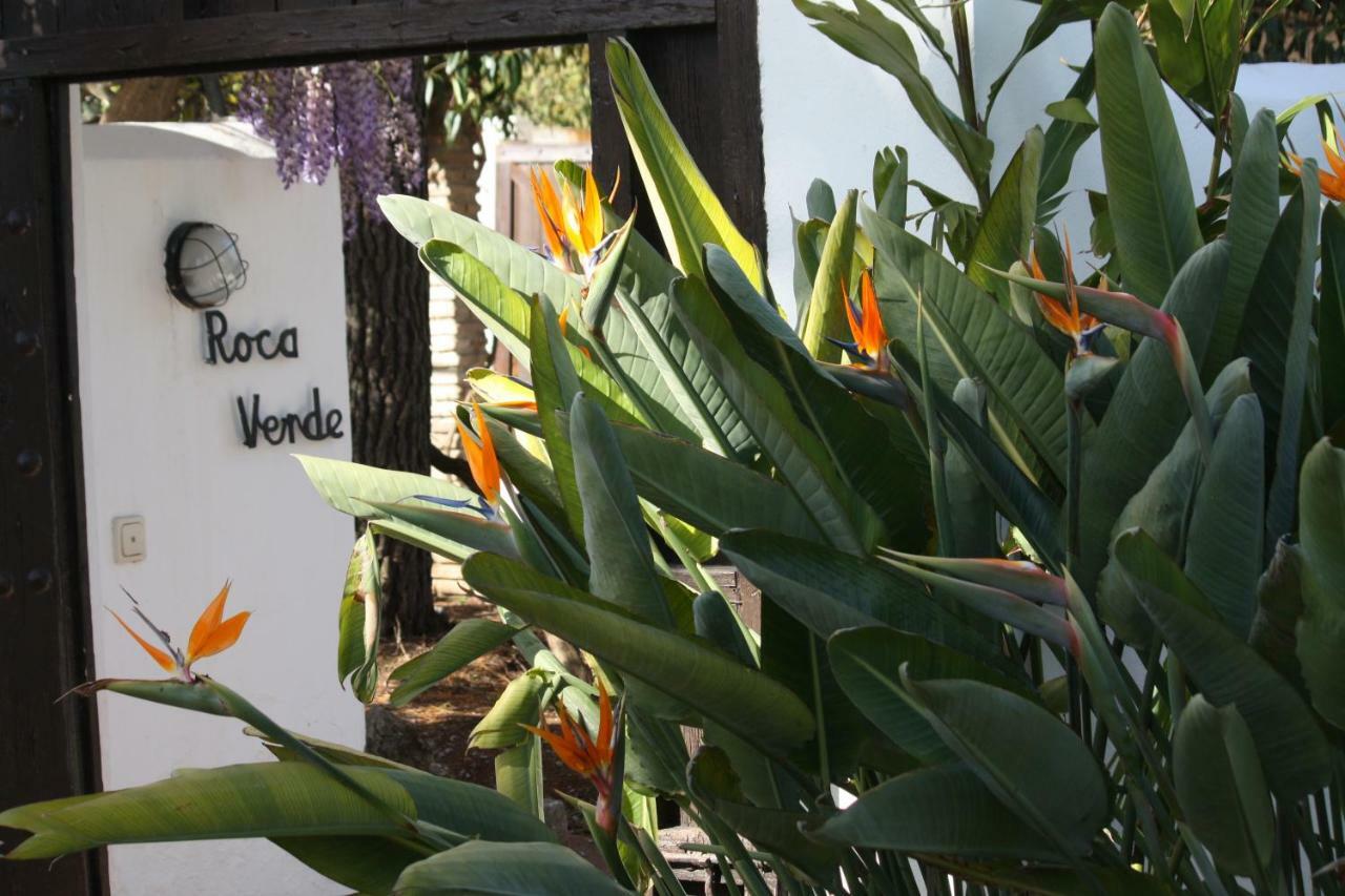 Roca Verde, Boutique Bed & Breakfast (Adults Only) 阿尔豪林德拉托里 外观 照片