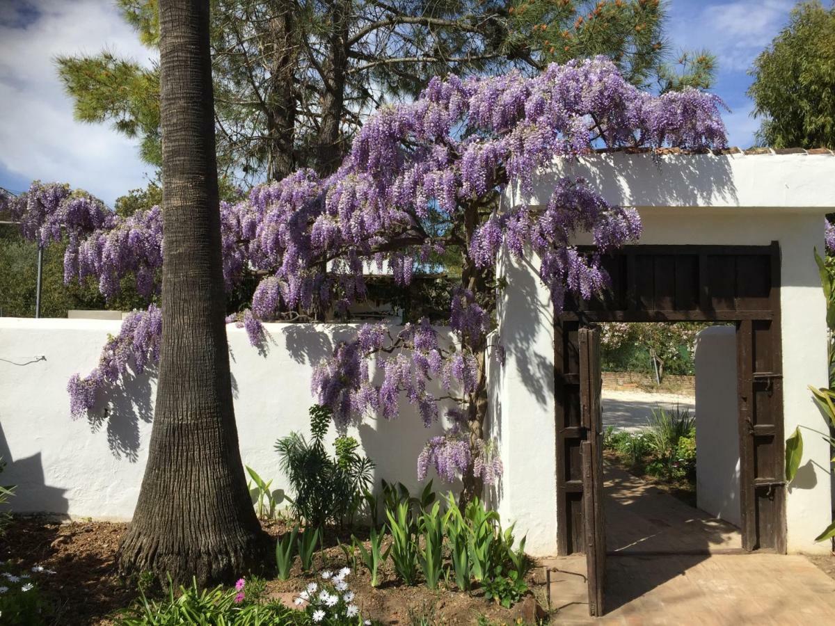 Roca Verde, Boutique Bed & Breakfast (Adults Only) 阿尔豪林德拉托里 外观 照片